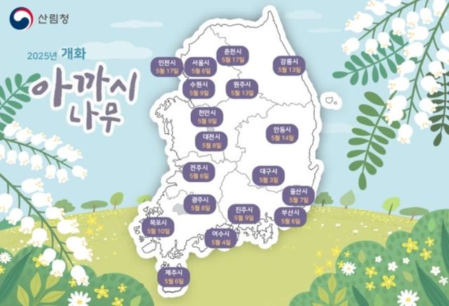 아까시나무 개화시기 예측 지도