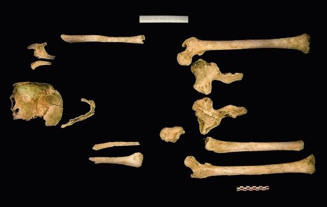 故 강성순 하사의 유해