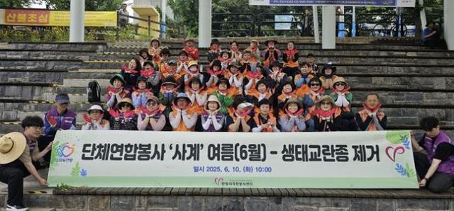 안양시자원봉사센터 단체연합봉사 ‘사계’, 생태교란종 제거활동 진행