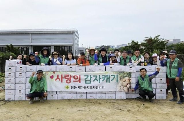수원시 권선구 평동 새마을지도자협의회, ‘사랑의 감자 캐기’로 이웃사랑 실천