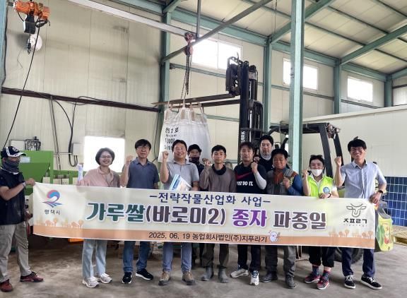 평택시, 논타작물 가루쌀(바로미2) 육묘 중점 관리