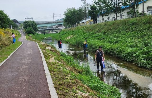 남양주시 별내동, 불암천 일대 하천정화 활동 펼쳐