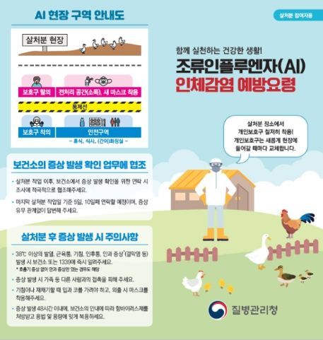 조류인플루엔자 예방수칙 홍보 리플릿