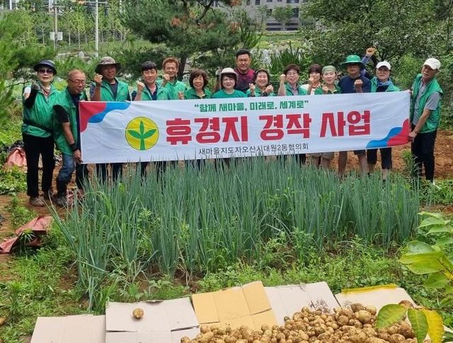 오산시 대원2동 새마을지도자협의회, 사랑의 감자 수확