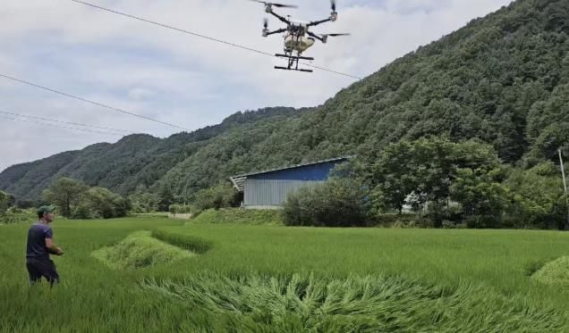가평군, 친환경 벼 병해충 약제 긴급 공급