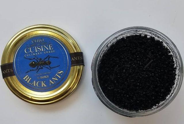 위반 제품(미국산 개미)