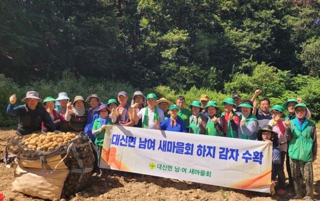 대신면 새마을남녀지도자, 감자 수확 통해 나눔의 밑거름 다져