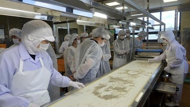 화성특례시 공공급식 모니터링단이 22일 안녕동 소재 수산물 공급업체를 방문해 건어물 이물질 선별과정을 살펴보고 있다