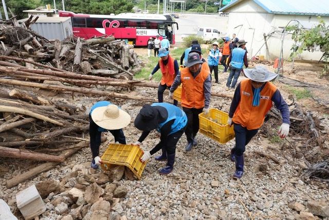 (사)안산시자원봉사센터 - 집중호우 피해지역“수해복구 자원봉사활동”전개