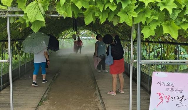 시흥시 연꽃테마파크에 쿨링포그 설치… 시원한 물안개로 힐링해요!