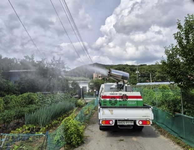 기후변화 속 러브버그·돌발해충 급증… 양주시, 민관 합동 방제로 대응 강화