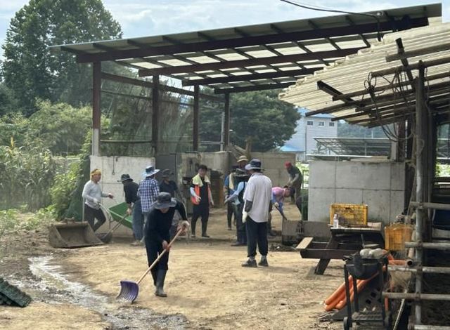 가평 설악면 이장협의회, 조종면 일대 수해복구 봉사