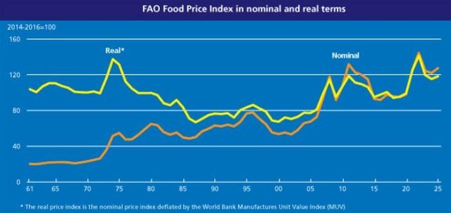 명목 및 실질 식량가격지수