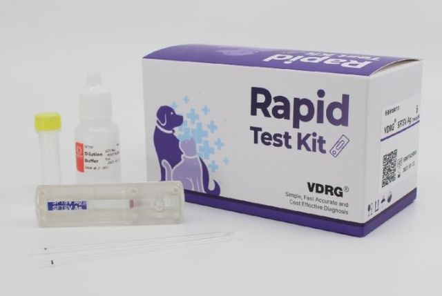 중증열성혈소판감소증후군(SFTS) 신속항원 진단키트