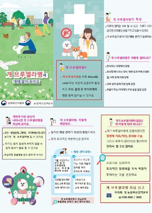 '개 브루셀라병 이렇게 예방해요' 안내문