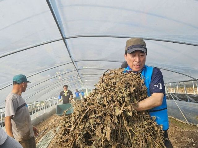 수해지역 현장활동