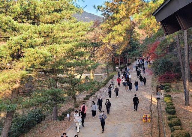 ‘서울대 안양수목원’ 11월 전면 개방…무상양여 완료