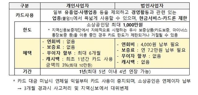 소상공인 비즈플러스카드 사업