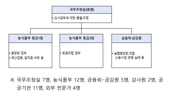 정부합동 특별감사반 구성 및 인원