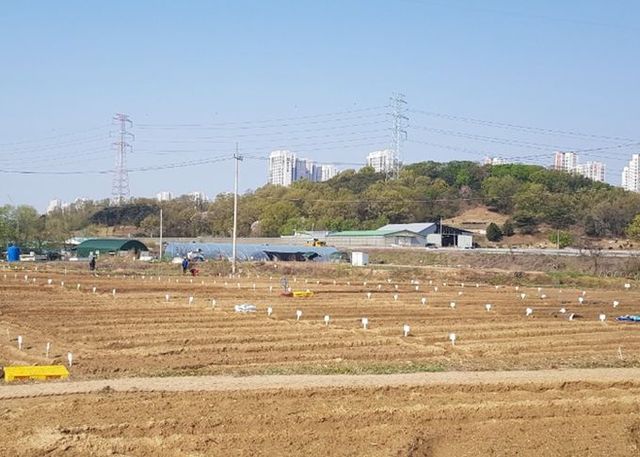 남양주시, ‘2026년 정약용 도시텃밭’분양…도심 속 치유 공간 마련