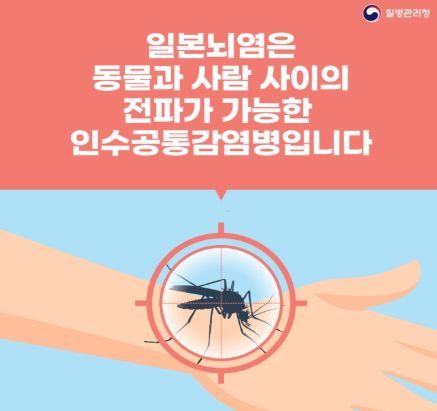 일본뇌염 카드뉴스