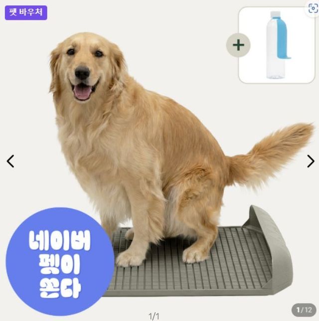 경기도주식회사-네이버 펫상품 기획전