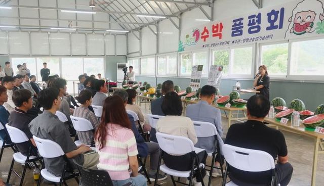 수박 품평회