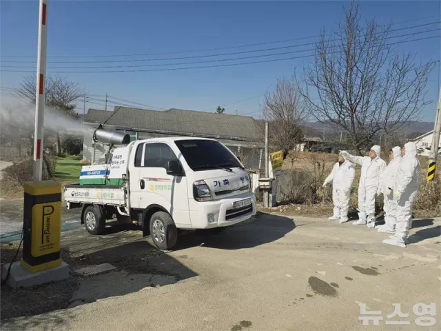 경기농협, AI·ASF 확산 차단 총력...명절에도 방역 手 놓지 않았다