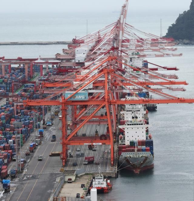 지난달 21일 부산항 신선대부두에서 컨테이너 하역작업이 진행되고 있다사진연합