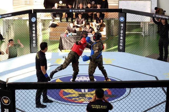 1113일까지 육군특수전사령부에서 진행된 특공무술 경연대회의 겨루기 종목에 참여한 장병들이 치열한 경합을 벌이고 있다사진육군