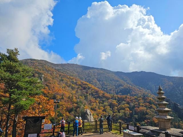 가을 속으로 흠뻑 인제연합뉴스 양지웅 기자 계절이 완연한 가을로 접어든 12일 강원 설악산 국립공원 내 봉정암에서 바라본 단풍이 곱게 물들어 있다 기상청은 이달 23일께 설악산 단풍이 절정에 이를 것으로 내다봤다 20231012 yangdooynacokr2023-10-12 181739 저작권자 ⓒ 1980-2023 ㈜연합뉴스 무단 전재 재배포 금지저작권자 ⓒ 1980-2023 ㈜연합뉴스 무단 전재 재배포 금지