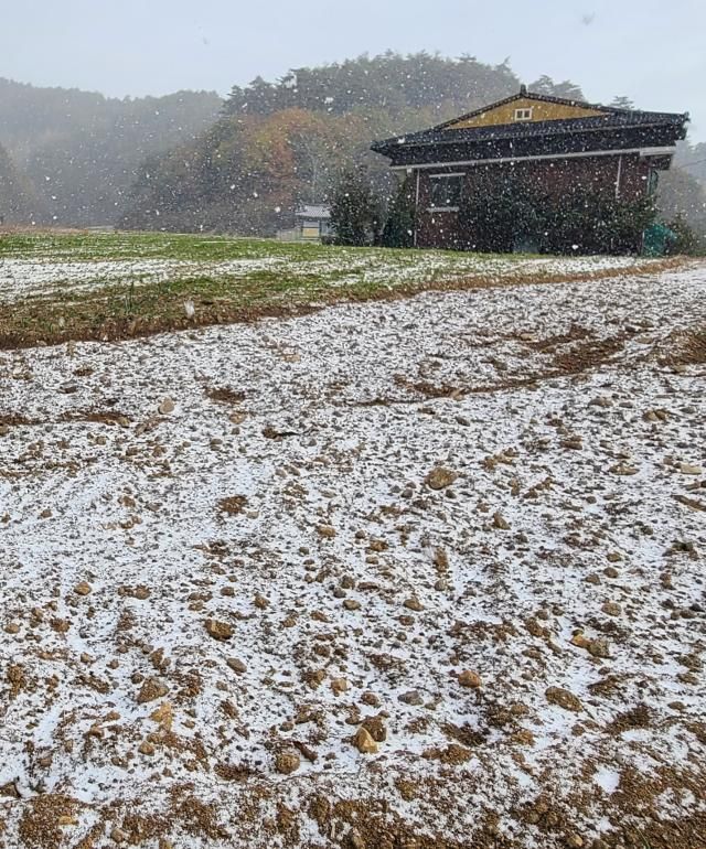 첫눈 내린 평창 평창연합뉴스 유형재 기자 강원도 내 곳곳이 올가을 들어 가장 추운 날씨를 보인 21일 평창군 진부면의 한 농촌 마을에 눈이 내리고 있다 강원지방기상청에 따르면 이날 설악산과 광덕산 등에 올가을 첫눈이 내렸다 20231021 yangdooynacokr2023-10-21 091314 저작권자 ⓒ 1980-2023 ㈜연합뉴스 무단 전재 재배포 금지저작권자 ⓒ 1980-2023 ㈜연합뉴스 무단 전재 재배포 금지