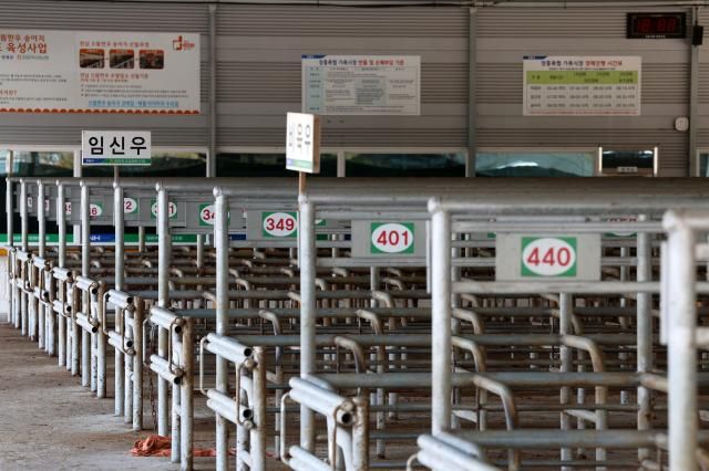 럼피스킨병 확산으로 가축시장 폐쇄 장흥연합뉴스 조남수 기자 25일 전남 장흥 가축시장이 폐쇄돼 있다 매주 수요일 개장하는 장흥축협 가축시장이 소 바이러스성 질병인 럼피스킨병 확산으로 이날 개장하지 못했다 20231025 iso64ynacokr2023-10-25 132944 저작권자 ⓒ 1980-2023 ㈜연합뉴스 무단 전재 재배포 금지저작권자 ⓒ 1980-2023 ㈜연합뉴스 무단 전재 재배포 금지