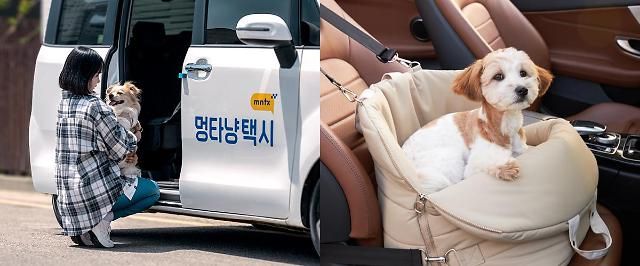 사진멍타냥택시