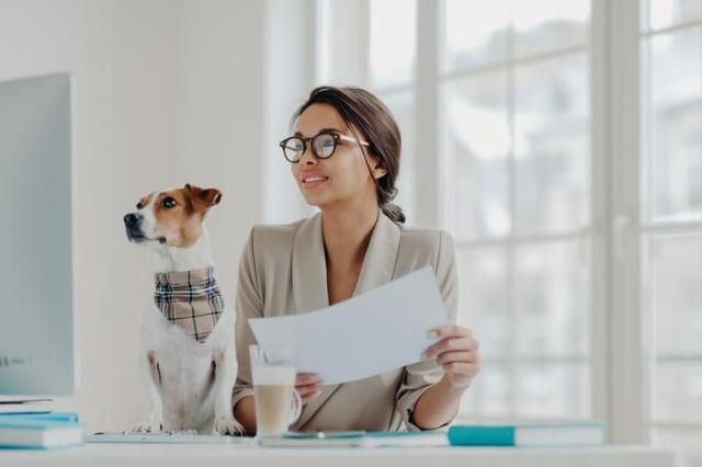 사진게티이미지뱅크