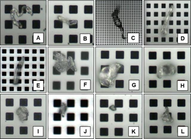 인공눈물 제품 속 다양한 모양의 미세플라스틱 사진국제학술지 Contact lens anterior eye 발췌