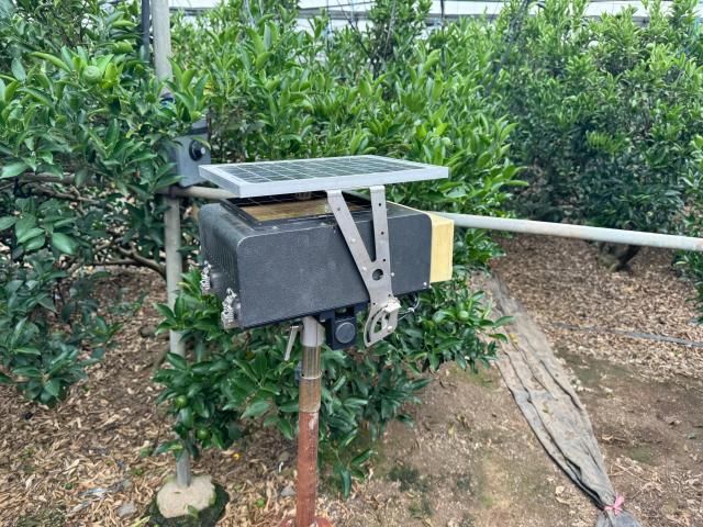 과수농가에 설치된 오토롤트랩사진한국농업기술진흥원