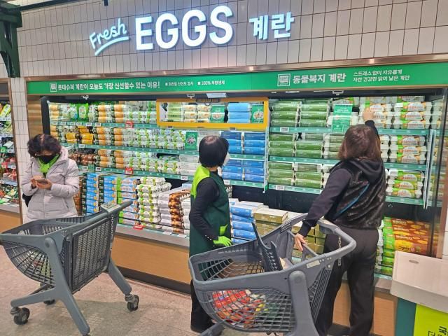 그랑그로서리 도곡점 프리미엄 계란 매대의 모습 사진롯데마트슈퍼