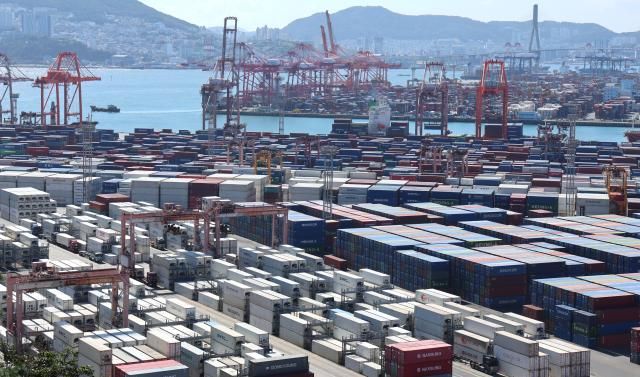 부산 남구 신선대부두 및 감만부두 야적장에 컨테이너가 가득 쌓여 있다 사진연합뉴스