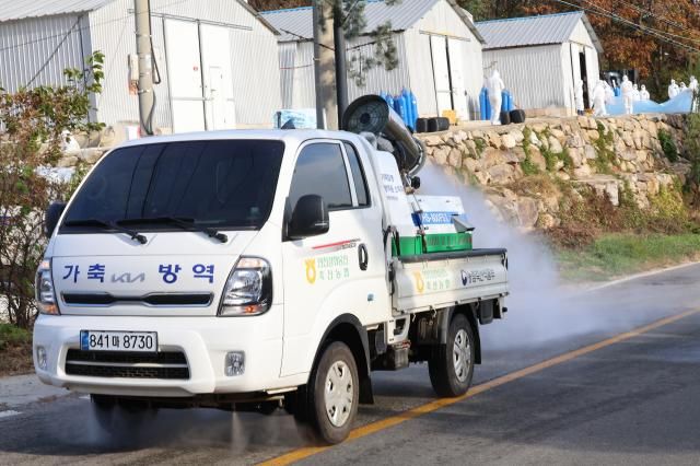 조류인플루엔자AI 확산 차단 방역 사진연합뉴스