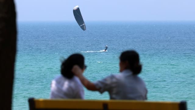 강원 강릉의 11일 낮 최고기온이 33도를 넘은 가운데 무더위를 피해 나온 시민들이 송정해변 솔밭 그늘에서 시원한 바닷바람에 무더위를 식히고 있다 사진연합뉴스