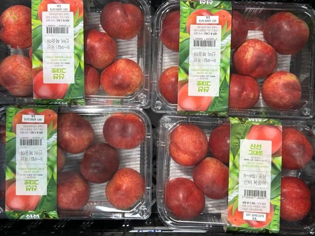 이마트로 납품될 신비복숭아가 포장된 모습 사진김다인 기자