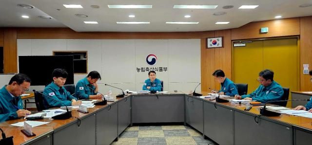 아프리카 돼지열병 