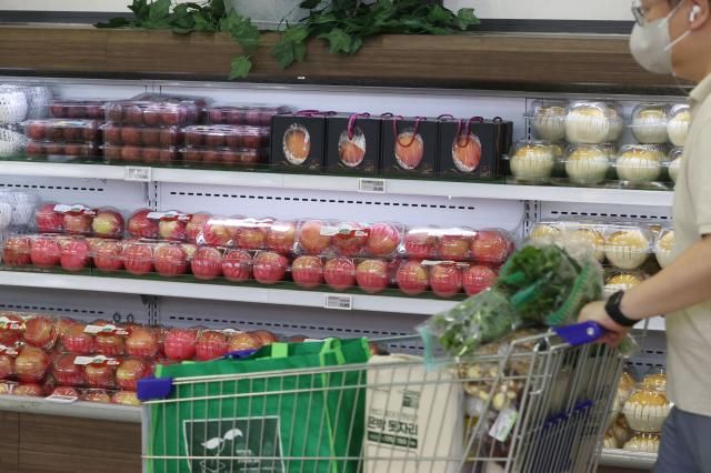 농식품부 추석 성수품 매일 수급 점검 서울연합뉴스 강민지 기자 28일 서울의 한 대형마트에서 시민이 사과를 둘러보고 있다 추석 성수품 수급 상황 점검 회의를 통해 농림축산식품부는 송미령 장관 주재로 매일 회의를 열어 배추 무 사과 배 한우 등 추석 성수품 수급 상황을 점검하기로 했다 2024828 mjkangynacokr2024-08-28 150001 저작권자 ⓒ ㈜연합뉴스 무단 전재 재배포 금지 AI 학습 및 활용 금지저작권자 ⓒ ㈜연합뉴스 무단 전재 재배포 금지 AI 학습 및 활용 금지