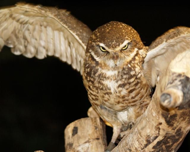 사진게티이미지