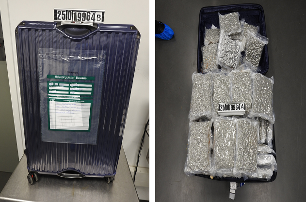 사진국가정보원