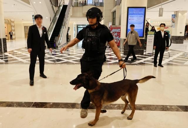 11일 광주 서구 한 백화점에서 경찰특공대 탐지견이 폭발물 탐색을 하고 있다 경찰에 따르면 이날 오전 9시 30분께 서구 롯데백화점에 폭탄을 설치하겠다는 신고가 접수돼 동구에 위치한 롯데백화점과 서구 신세계백화점에 경찰특공대를 투입했다 사진연합뉴스 