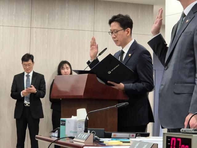 사진나선혜끼자