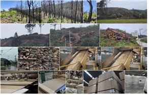 안동 산불 피해목이 2025 APEC 정상회의 공식 사무용 가구로 재탄생한 전 과정을 담은 기록 사진코아스 제공