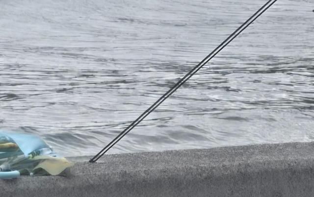 사진보배드림 캡처